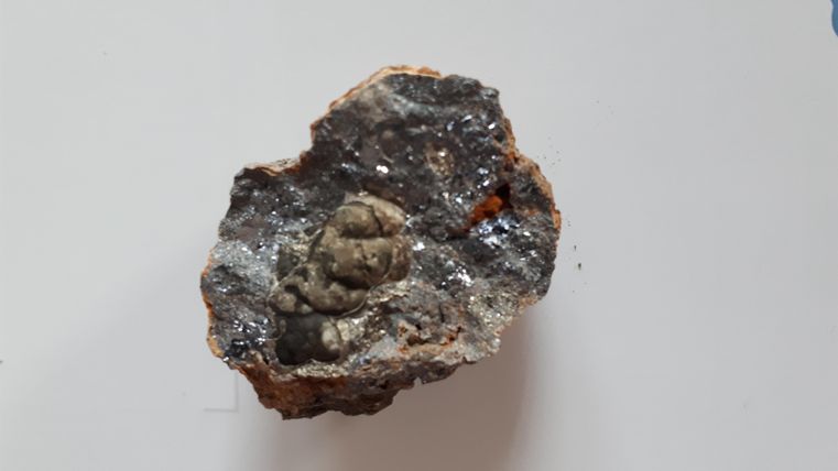 A piece of rock with a small, encapsulated figure inside. The surface is rough and displays various mineral structures.
