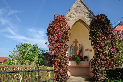 A small chapel with statues and red climbing plants in Wolsfeld.