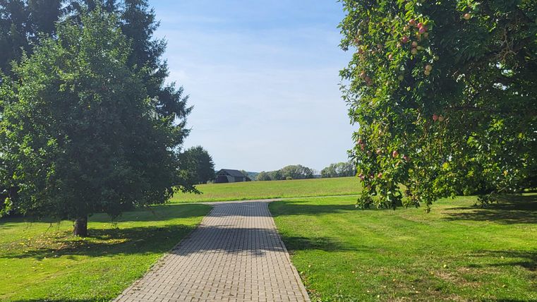 Een mooie weg in een park, omgeven door groene weilanden en bomen. De lucht is helder en zonnig.