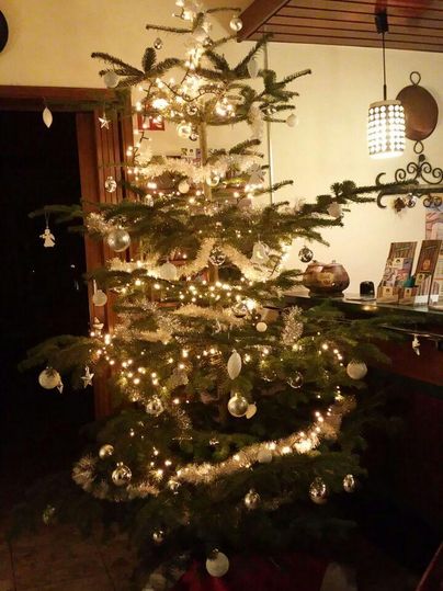 A festively decorated Christmas tree with lights and ornaments. The tree stands in a cozy room with a wooden ceiling and a small table in the background.