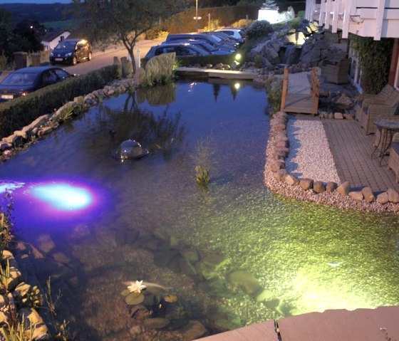 Pond in the evening