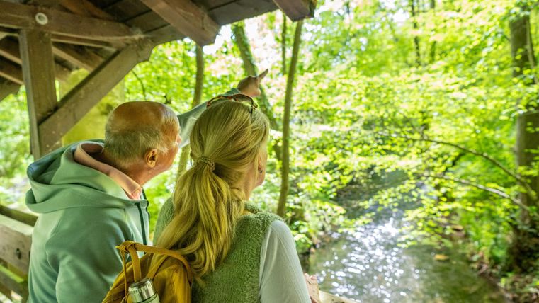 A couple stands under a wooden overhang and gazes into a green forest. In the background, a small stream flows.