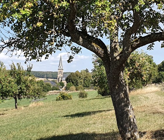 Een boom met groene bladeren en appels op de voorgrond, een weiland erachter en een kerktoren in de verte onder een blauwe lucht., © TI Bitburger Land - Steffi Wagner
