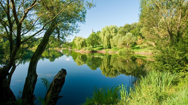 Een rustige rivier met spiegelend water en weelderige bomen langs de oever. Het landschap oogt vredig en uitnodigend.