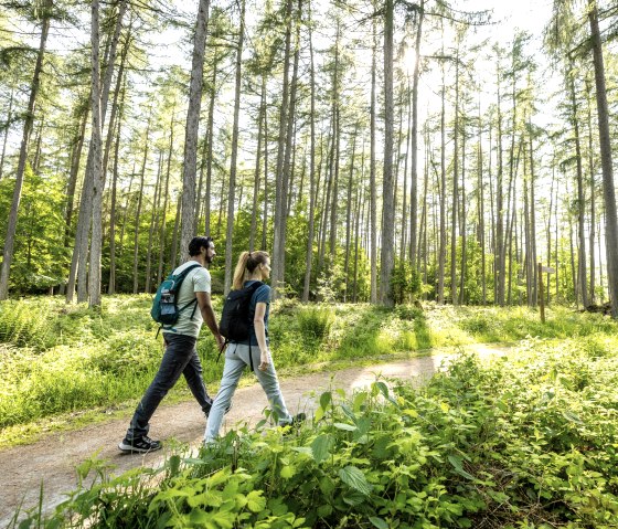 Randonnée dans l'espace de découverte de la nature Wilder Kermeter, © Eifel Tourismus GmbH, Dominik Ketz