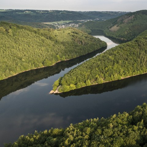 Blick in den Nationalpark Eifel und Urfttalsperre, © Eifel Tourismus GmbH, D. Ketz