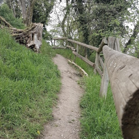 Wanderweg zur Hütte, © Tourist Information Wittlich Stadt & Land