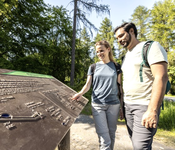 Informations accessibles dans l'espace de découverte de la nature Wilder Kermeter, © Eifel Tourismus GmbH, Dominik Ketz