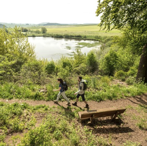 Hiking Eichholzmaar, © Eifel Tourismus GmbH, Dominik Ketz