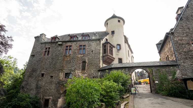 Château de Neuerburg avec des murs en pierre et une tour, entouré d'arbres et d'un arc de porte au premier plan.