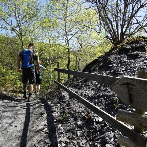 De la carrière d'ardoise en direction de l'Elzbach, © Laura Rinneburger