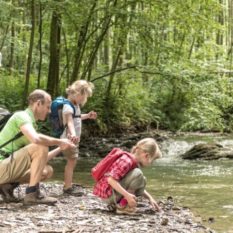 Familienausflug am Wasser, © Rheinland-Pfalz Tourismus GmbH _ Dominik Ketz