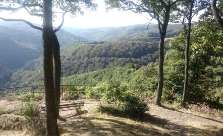 uitzicht-van-bos-naar-dal, © Stadt Mayen