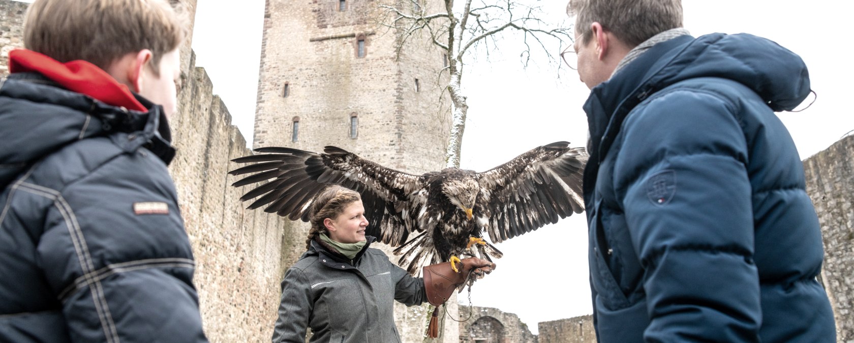 Adler- und Wolfspark Kasselburg, © Eifel Tourismus GmbH, Dominik Ketz
