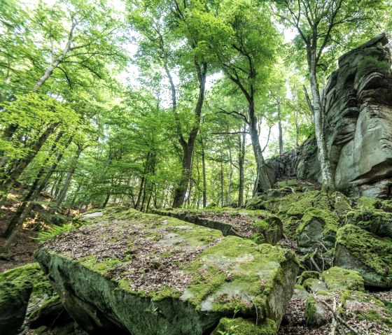 Predigtstuhl rock formation in the NaturWanderPark delux, © Eifel Toursimus GmbH, D. Ketz