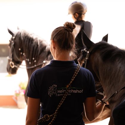 Eine Person mit einem Pferd in der Hand steht vor einem anderen Pferd. Im Hintergrund ist eine weitere Person mit einem Helm zu sehen.