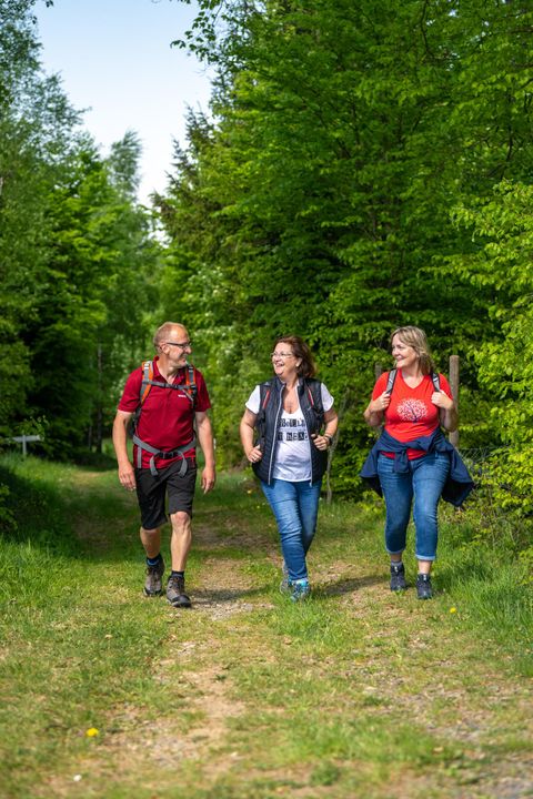 Drie personen wandelen op een smal pad door een groene bos. Ze dragen rugzakken en genieten van de natuur.