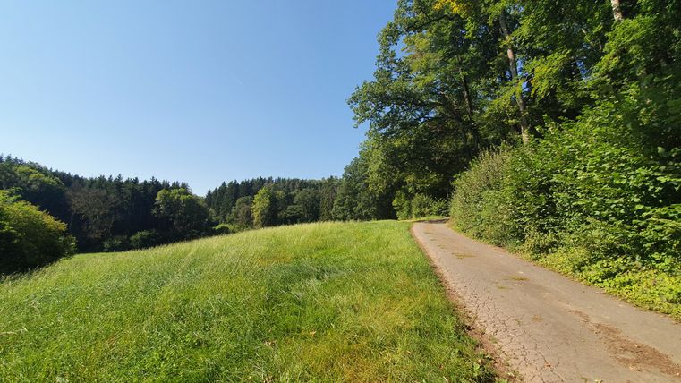 A narrow path leads along the edge of a forest, surrounded by green meadows and trees under a clear blue sky.