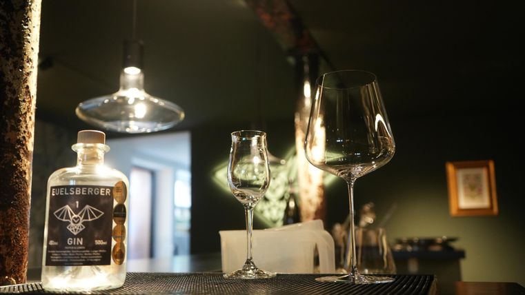 Ein stilvoller Barbereich mit einer Flasche Gin und zwei Gläsern. Die beleuchtete Umgebung schafft eine gemütliche Atmosphäre.