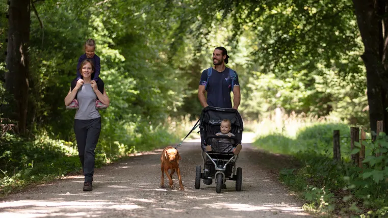 Ein Paar mit Kinderwagen und Hund