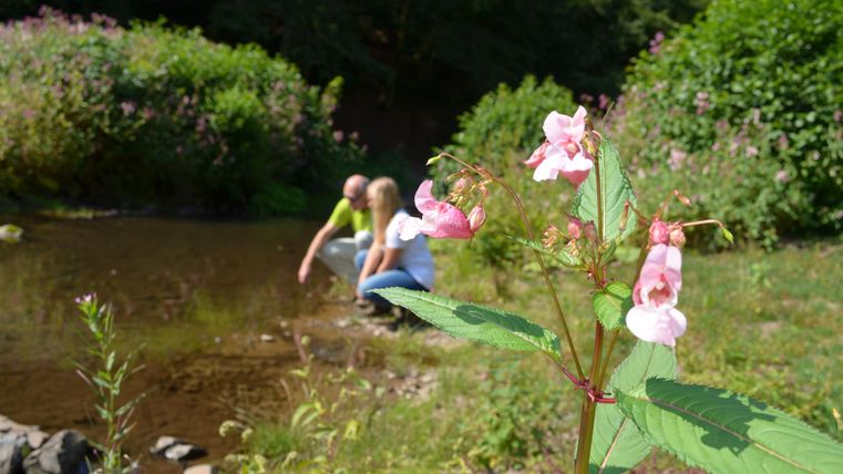 A beautiful river with green shore plants. In the background, two people can be seen sitting by the water.