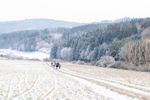 Eine verschneite Landschaft mit einem Weg, auf dem mehrere Wanderer gehen. Im Hintergrund sind Bäume und sanfte Hügel zu sehen.