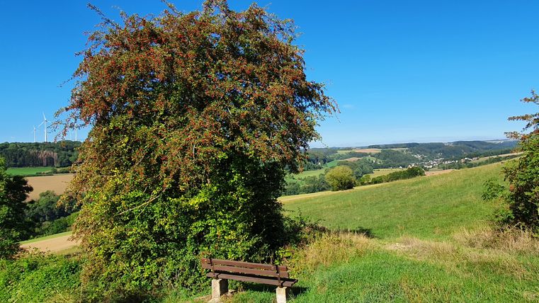 A bench stands on a meadow with a view of a hilly landscape and wind turbines in the background.