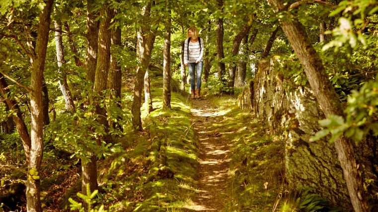 Eine Frau wandert auf einem schmalen, von Bäumen gesäumten Pfad im Wald bei Bad Bertrich.