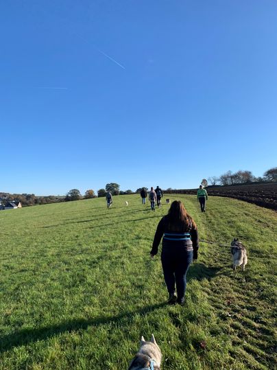 Een groep mensen loopt met honden over een groen veld. De lucht is helder en blauw.