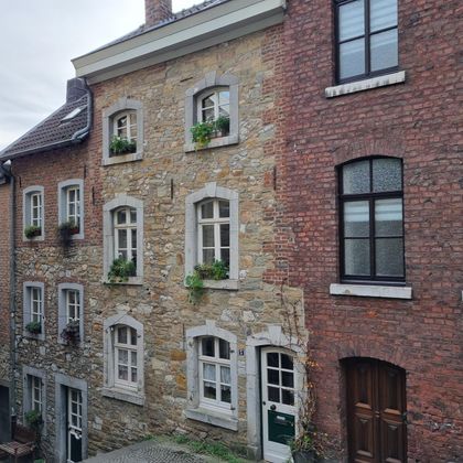 Des maisons historiques en pierre et en brique avec des fenêtres et des plantes sont visibles. L'architecture charmante dégage un caractère nostalgique.
