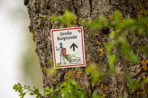 A sign with the inscription 'Große Burgrunde' on a tree trunk, with a knight and an arrow pointing upwards.