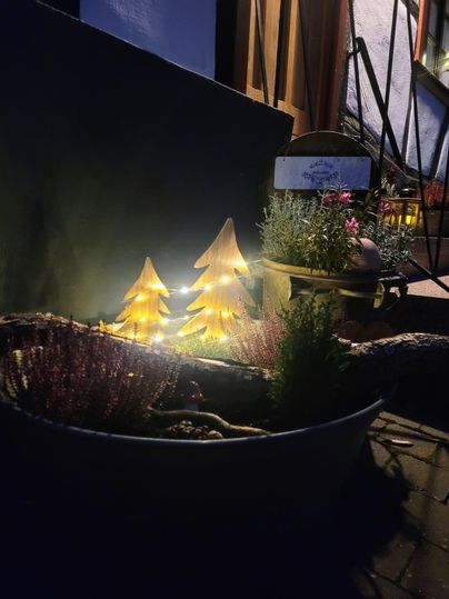 Eine gemütliche Dekoration mit beleuchteten Weihnachtsbäumen in einem Blumentopf. Im Hintergrund sind Pflanzen und eine Tafel sichtbar.