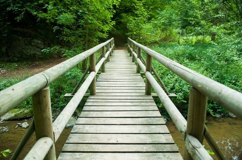 Wooden bridge over a small stream in the forest.