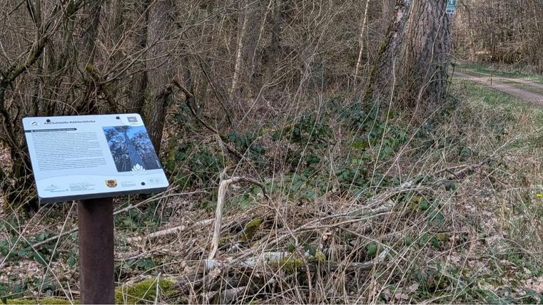 Un panneau d'information se trouve dans une zone forestière. Le chemin passe à droite du panneau, entouré d'arbres et de buissons.