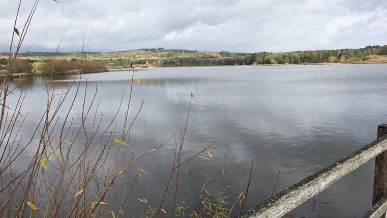 Ein ruhiger See mit spiegelndem Wasser und sanften Ufern. Im Hintergrund sind grüne Bäume und ein bewölkter Himmel zu sehen.