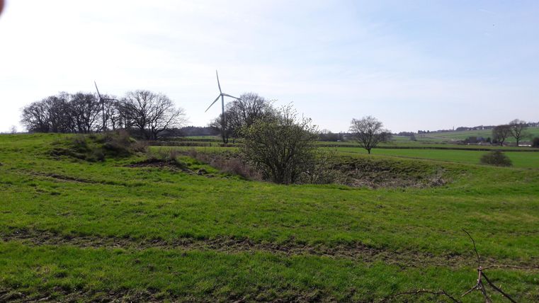 Een rustig landschap met groene weiden en hier en daar een boom. Op de achtergrond zijn windmolens en een heldere hemel te zien.