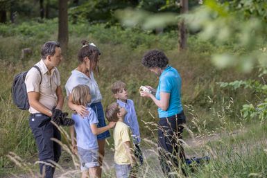 Während einer geführten Bibertour im Grünen zeigt eine Tourleiterin in blauem Shirt einer kleinen Gruppe etwas in der Hand. Drei Erwachsene und drei Kinder stehen in einer Wiese am Waldrand und hören interessiert zu. Die Szene spielt an einem hellen Tag inmitten einer natürlichen Umgebung.