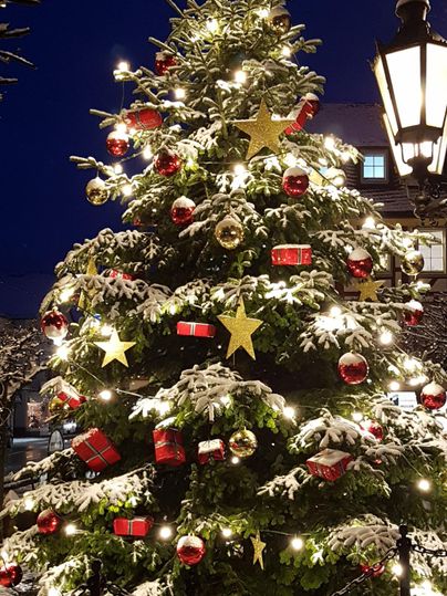 Un sapin de Noël décoré de façon festive avec des boules rouges et des étoiles dorées. La neige couvre les branches et les lumières illuminent la nuit.