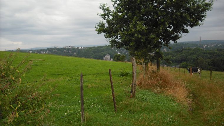 Paysage avec un champ vert, un arbre, une vache et un ciel nuageux.
