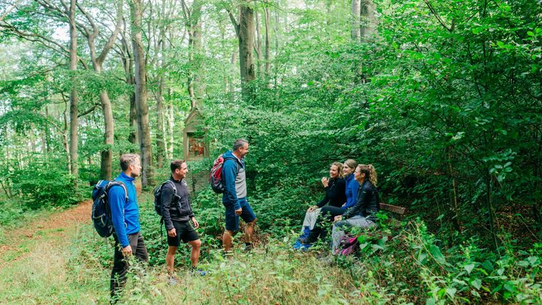 Eine Gruppe von Wanderern steht im grünen Wald und unterhält sich. Die Umgebung ist üppig und friedlich, mit viel Laub und Bäumen.