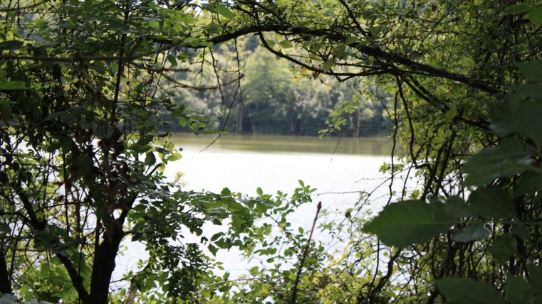 A long, arched tunnel with damp walls and a clear exit at the end. There are some panels mounted on the sides.