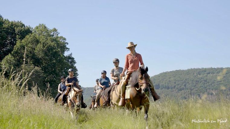 Eine Gruppe von Reitern unterwegs auf einem grünen Feld. Die Sonne scheint und die Landschaft ist malerisch.