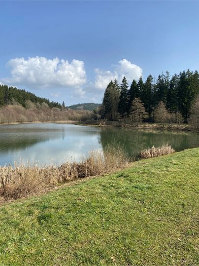 Ein ruhiger Stausee umgeben von Bäumen und Gras unter einem blauen Himmel mit Wolken.