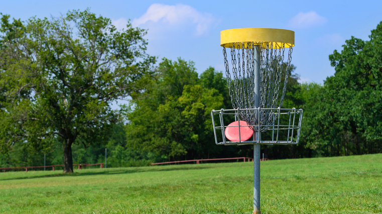 Un panier de disc golf se trouve au milieu d'une prairie verdoyante. À l'arrière-plan, on aperçoit des arbres et un ciel dégagé.