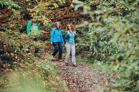 Trois randonneurs avec des sacs à dos marchent sur un chemin forestier automnal entre d'épais feuillages verts et colorés.
