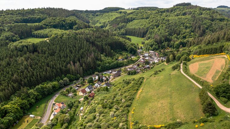 A picturesque landscape with gentle hills, forests, and a small village. Lush green meadows and a winding path stretch through nature.