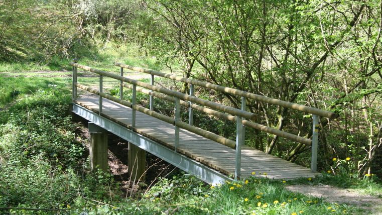 Un petit pont en bois traverse un ruisseau dans une zone boisée verdoyante.