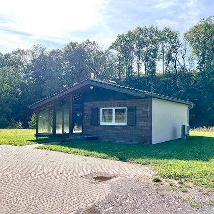 Une maison moderne avec un grand jardin sur un terrain plat. À l'arrière-plan, on peut voir des arbres et un ciel dégagé.