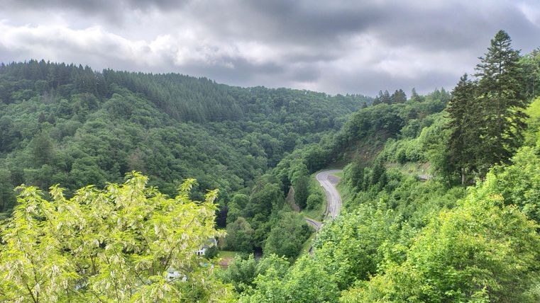 Een groene landschap met zachte heuvels en veel bomen. De lucht is bewolkt, en een kronkelige weg slingert door de natuur en verbindt Manderscheid met de snelweg.