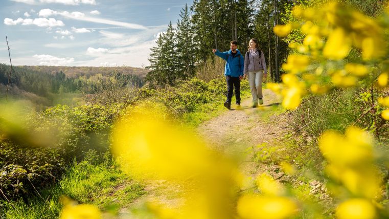 Two people are hiking on a picturesque path surrounded by green trees and yellow flowers. The sun is shining and the sky is blue with some clouds.